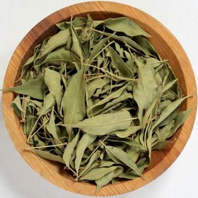 تصویر برگ سنا 