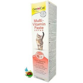 تصویر خمیر مولتی ویتامین گربه جیم کت Gimcat multivitamin وزن ۵۰ گرم 