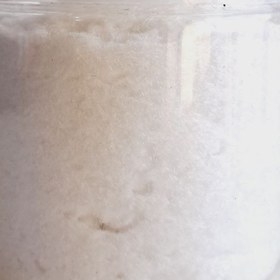 تصویر پودر مخمل سفید ۲۵ گرم کد 1 