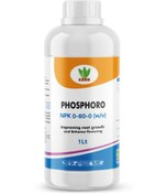 تصویر کود فسفر بالا مایع ۱ لیتری (0-60-0) NPK Phosphoro