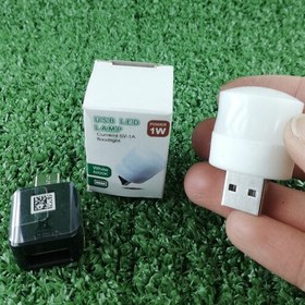 تصویر چراغ USB همراه با تبدیل OTG تایپ سی 