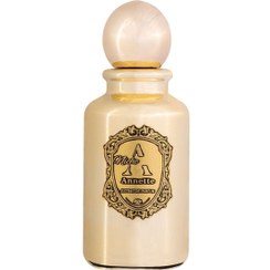 تصویر اکستریت د پرفیوم زنانه ای نیش مدل آنت 100 میلی‌لیتر 