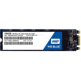 تصویر اس اس دی وسترن دیجیتال WD Blue SN5 ا Western Digital WD Blue SN550 M.2 2280 NVMe 250GB SSD Western Digital WD Blue SN550 M.2 2280 NVMe 250GB SSD