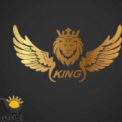 تصویر برچسب بدنه خودرو طرح بال King 