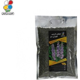 تصویر ( بسته 12 عددی ) گیاه اسطوخودوس(Lavandula stoechas) 