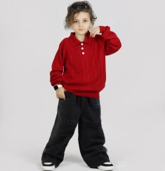 تصویر پلیور پسرانه یقه‌دار کد 4305 