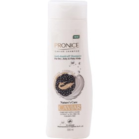 تصویر شامپو ضد شوره خاویار Pronice Pronice Caviar Anti-Dandruff Shampoo