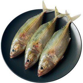 تصویر ماهی طلال تازه ۱ کیلوگرم مخصوص کباب و سرخ کردن 