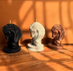 تصویر اسب - و... 