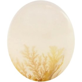 تصویر سنگ شجر کد 3050 