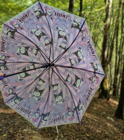 تصویر چتر کرومی 