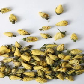 تصویر غنچه زرد نسترن 