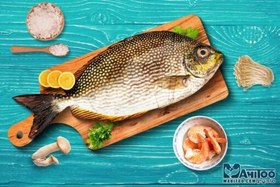 تصویر ماهی حلوا بحريني 