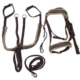 تصویر ست سركله گير و دستجلو و سينه بند تعليمى اسب 