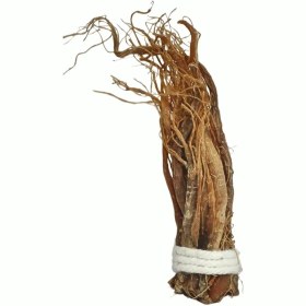 تصویر ریشه گیاه جینسینگ 60 گرم 