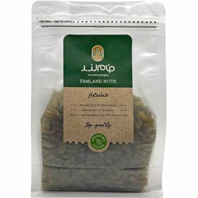 تصویر کشمش سبز - زیپ دار / 1000 گرم 