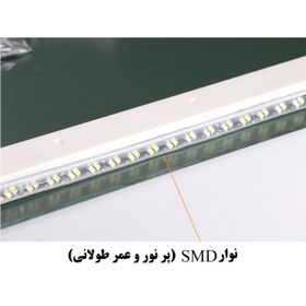 تصویر آینه دلفین کد N-T-6050 