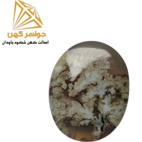 تصویر نگین شجر بهاری (کد۷۶) 