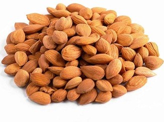 تصویر مغز هسته زردآلو خرید مغز هسته زردآلو با قیمت ارزان از فروشگاه خشکبار آلارسان