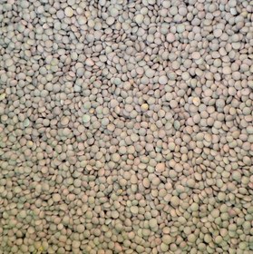 تصویر عدس ریز محلی یک کیلویی 