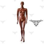 تصویر مانکن زنانه مسیDR-M79 