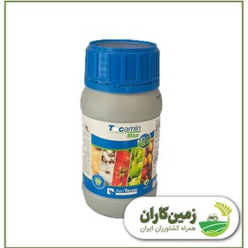 تصویر آمینو اسید (تکامین) 