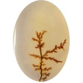 تصویر سنگ شجر پارلا گوهر کد 5110 