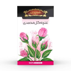 تصویر غنچه گل محمدی مجتهدی 