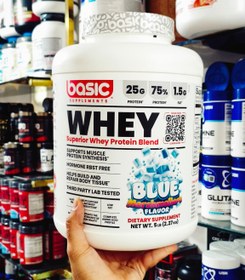 تصویر پروتئین وی بیسیک (Basic Whey Protein Blend) 