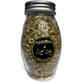 تصویر بابونه شیرازی 