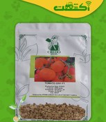 تصویر بذر گوجه 2291 کریدو هلند 1000 عددی 