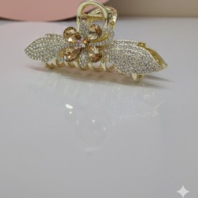 تصویر کلیپس 