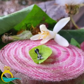 تصویر پیرسینگ گوش کد PS307 