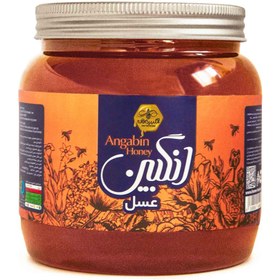 تصویر عسل ۲/۵ کیلویی چهل گیاه 