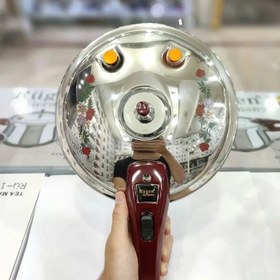 تصویر زودپز روگازی ۷ لیتر روگن المان 