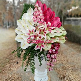 تصویر جام گل دنیا 