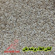تصویر تخم کتان تازه و بوجاری‌شده اعلا – انتخابی سالم برای تغذیه روزانه پرندگان زینتی - 5 کیلو Flaxseed