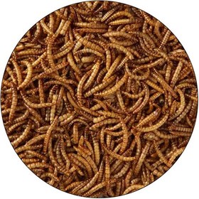 تصویر غذای ماهی میل ورم شهرپت مدل FishMealworms وزن 100 گرم 