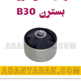 تصویر بوش طبق بزرگ بسترن B30 