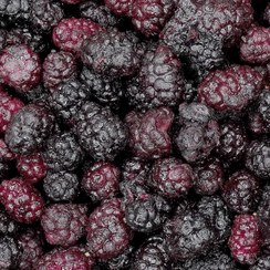 تصویر شاتوت فله منجمد 