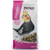 تصویر دان بنلوکس عروس هلندی 