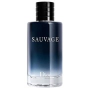 تصویر ادو تویلت مردانه اماراتی Dior Sauvage حجم 100 میلی لیتر 