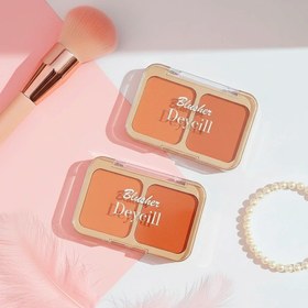 تصویر رژگونه دوتایی دایسل 