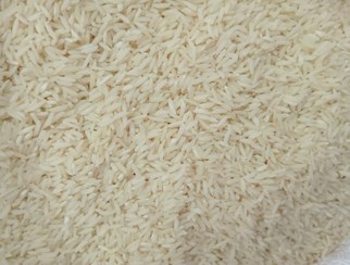 تصویر برنج دوالکه هاشمی خوش عطر و تازه ۱۴۰۴ | پنج کیلو 