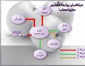 تصویر نمونه پروژه طرح 4 معماری طراحی درمانگاه عمومی 