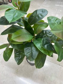 تصویر درختچه فیکوس مصنوعی B2 