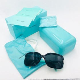 تصویر کیف عینک آفتابی تیفانی TIFFANY مدل ORIGINAL 