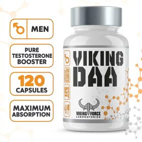 تصویر مکمل دی ای ای وایکینگ فورس 