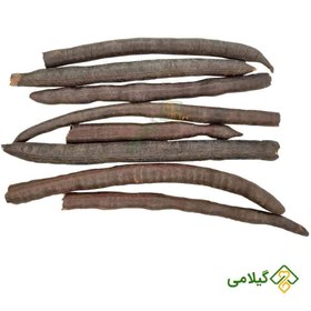 تصویر فلوس گیلامی (Gilamie Cassia Fistula) 