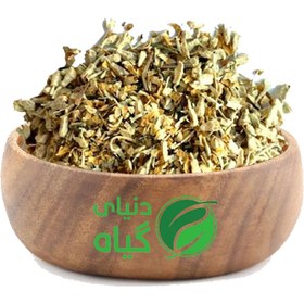 تصویر شکوفه سنجد 